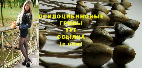 твердый Абдулино