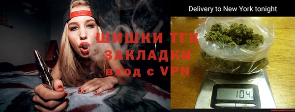 шишки Алзамай