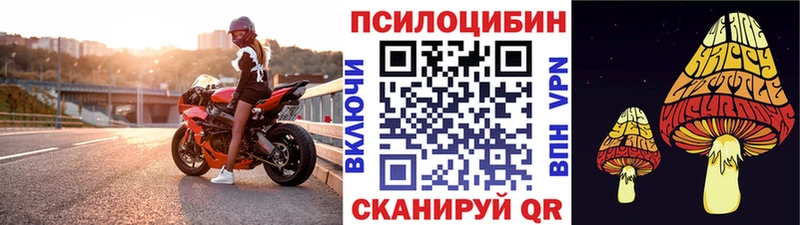 Галлюциногенные грибы мицелий дарнет шоп Тимашёвск